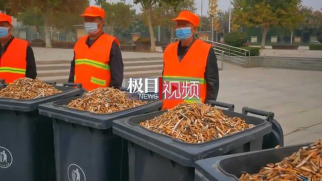 商丘千名环卫工一周捡400万余烟头:重量近1吨,将用作发电