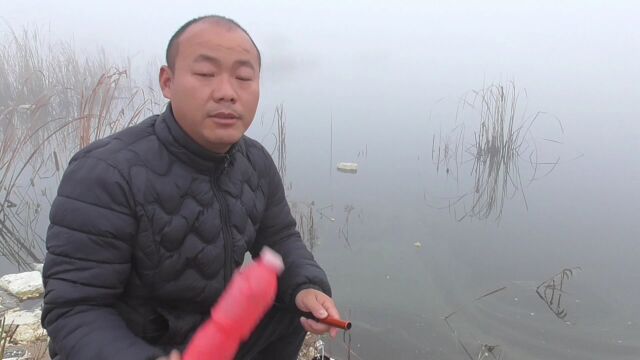 酒米窝料,半小时发窝,还上大板鲫,一条接一条往外挑