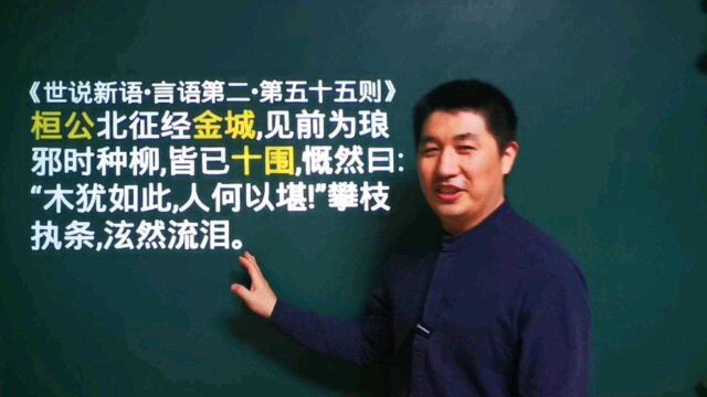 《世说新语.言语第二》第五十五则丨木犹如此,人何以堪