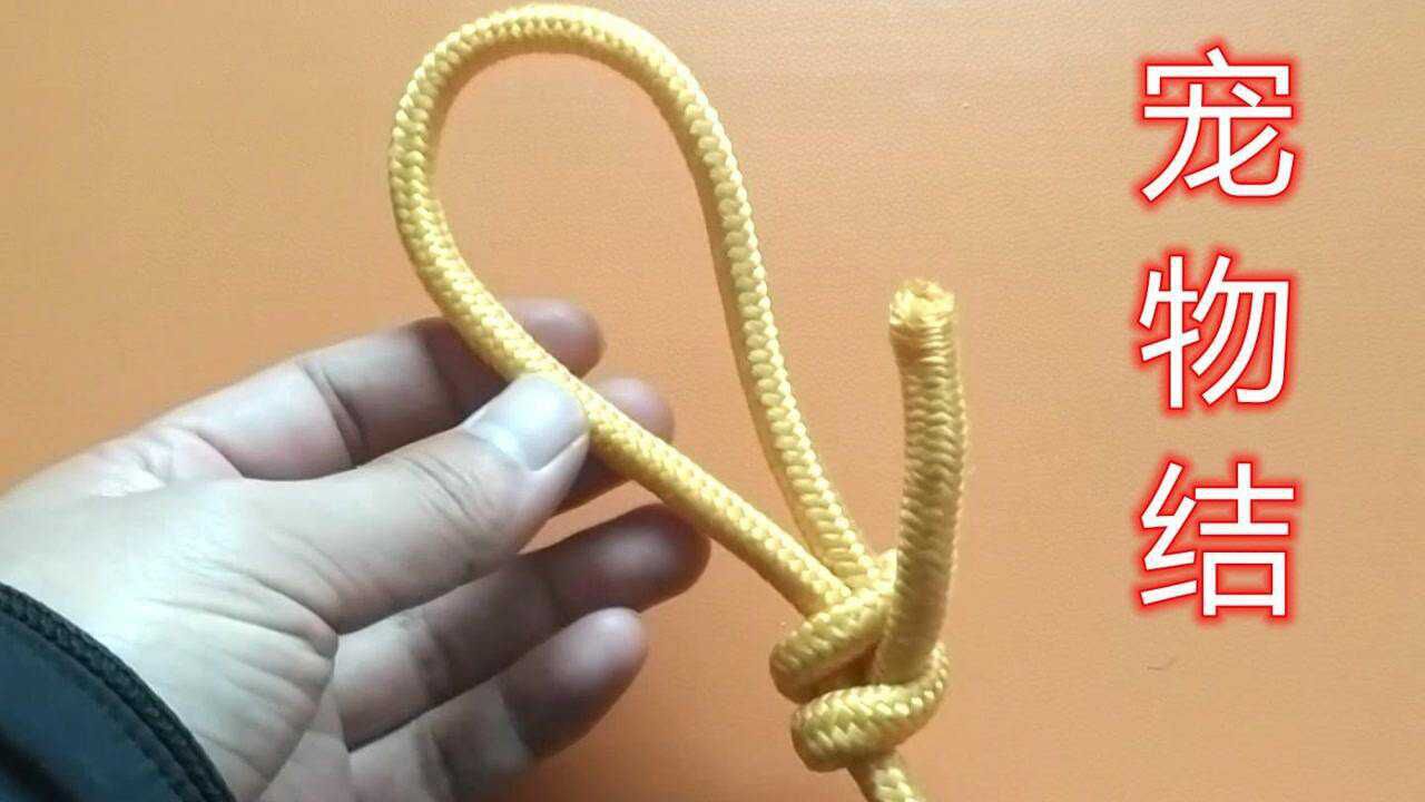套狗结又称宠物结,牢固稳定不勒脖,生活中很实用的一种绳结