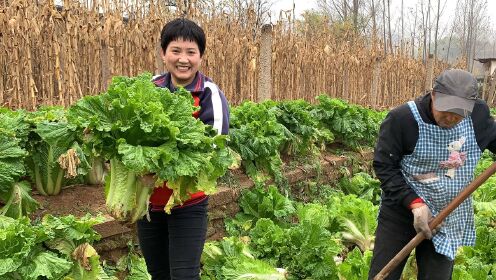 好开心时 间:2022-04-29上传者:乡间小徐生 活:小徐的乡间生活0:02:44