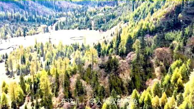 李建平摄制丨游川西四姑娘山景区,解说:王晓音