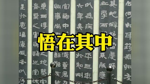 龙游浅水遭虾戏,虎落平阳被犬欺!#老人言 @看点小助理