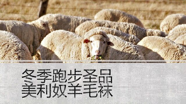 吴栋说跑步:冬季跑步圣品 美利奴羊毛袜