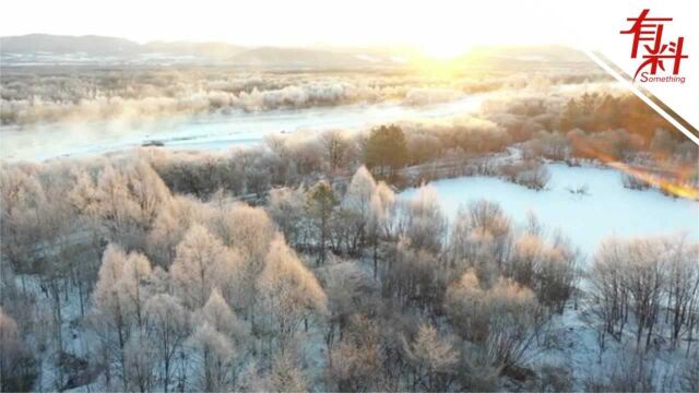 航拍大兴安岭美景:巨型“日晕”光环沉于天际 淡蓝雪景与粉色雾凇同框宛如童话世界