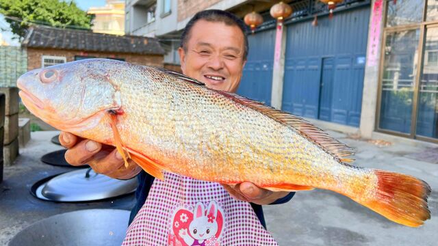 1200买4条深海“春子鱼”,鱼香肉嫩,黄花鱼的表兄弟名不虚传