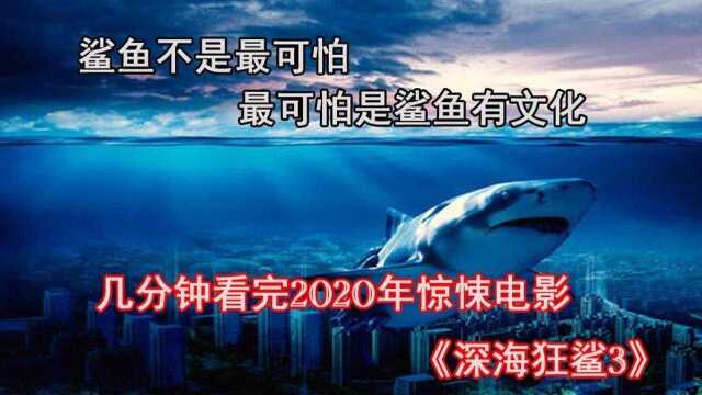 几分钟看完2020年惊悚电影《深海狂鲨3》