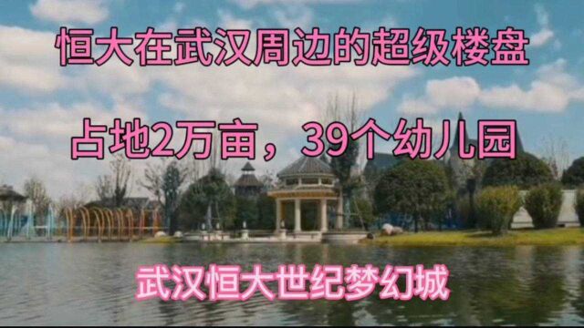 恒大在湖北小县城的超级楼盘,占地2万亩,总投资1500亿,太豪横