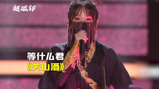 等什么君《关山酒》:河山万里,愿与君同守!