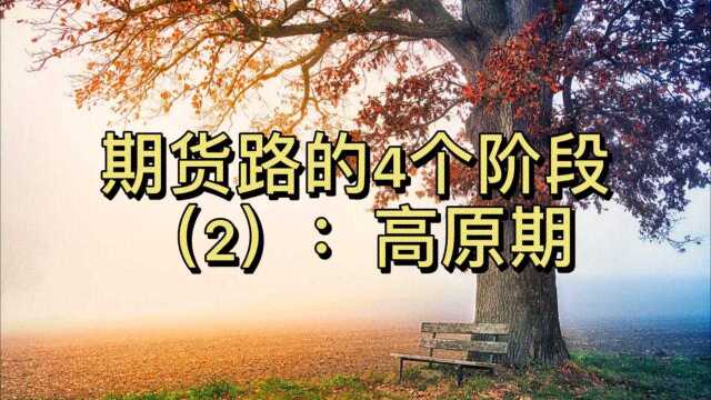 期货路上的四个阶段(2):高原期