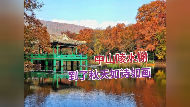 深秋时节,南京中山陵景区内的水榭湖水如镜,四周层林尽染秋色如画,美不胜收!