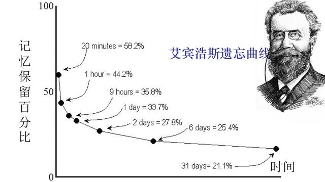 公考:以下哪种描述符合艾宾浩斯遗忘曲线对于遗忘规律的描述?