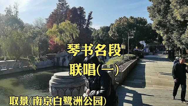 琴书名段联唱(一)