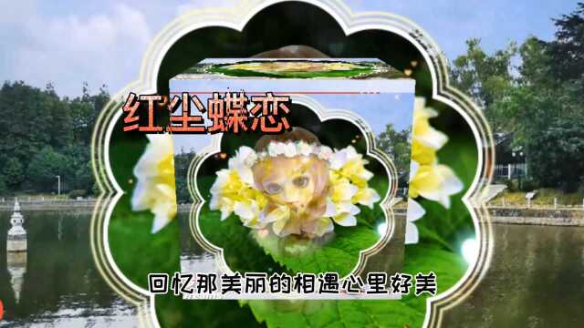 很美的歌曲《红尘蝶恋》演唱:时嘉