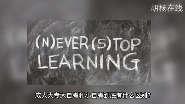 成人大专大自考和小自考到底有什么区别?