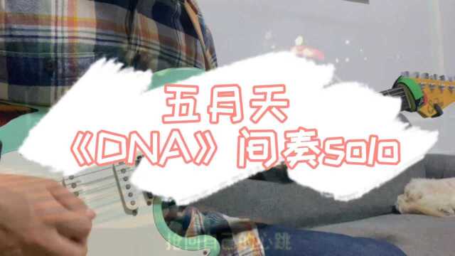 芥末音乐尹磊《DNA》电吉他间奏solo