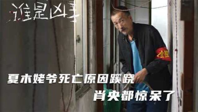 谁是凶手大结局:夏木虚伪面具被揭,姥爷死亡真相曝光,肖央惊呆