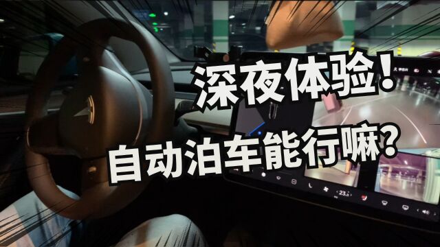 第一次体验特斯拉自动泊车!老司机基本用不到