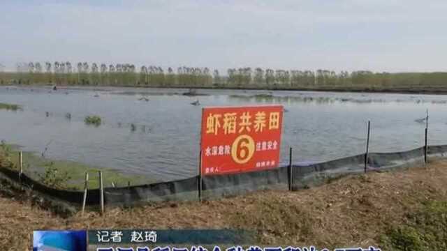 五河县稻田综合种养面积达6.7万亩