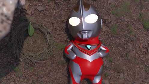 幼年时期的奥特曼胖嘟嘟的,小迪迦和小盖亚萌翻了