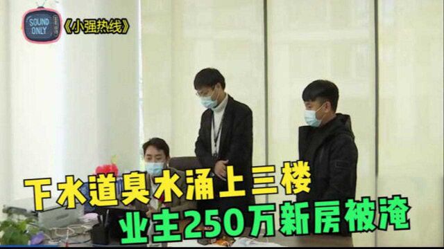 小区下水道臭水涌上3楼,业主250万买的新房被淹,物业:不怪我们