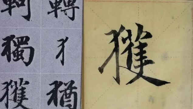 毛笔字天天练习获字