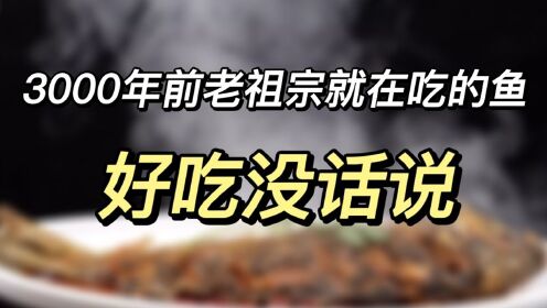 漁業系列科普——3000年前老祖宗就在吃的魚,好吃沒話說_高清1080p