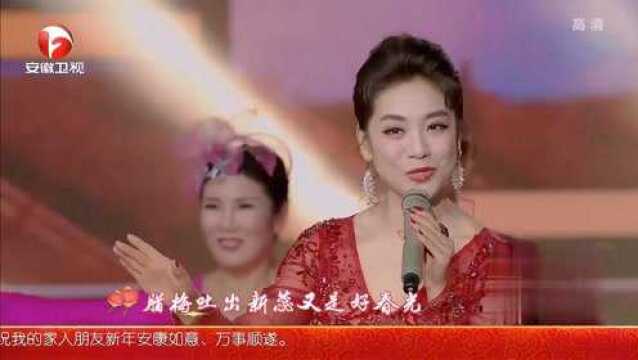 文欣演唱《团圆中国年》,这嗓音清脆,观众都陶醉了|晚会