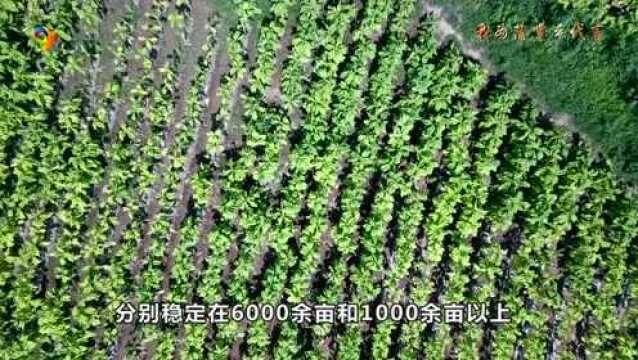 直通政务 | 【奋进新征程 建功新时代】我为家乡代言(蒲掌乡)