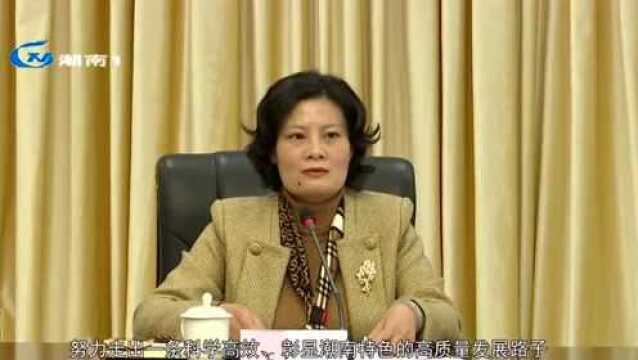 【奋力建设现代化和美富裕新潮南】我区召开全区维稳安保工作会议