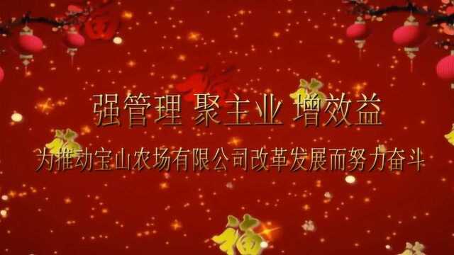 2022.1.23宝山新闻