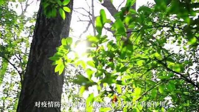 【文明健康 ⷠ爱卫同心】倡导文明健康绿色环保生活方式