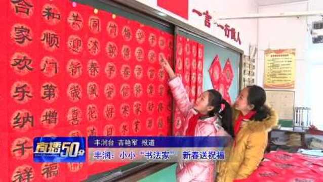 丰润:小小“书法家” 新春送祝福