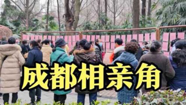 实拍成都人民公园相亲角,女性征婚明码标价像买菜,场面太火爆了