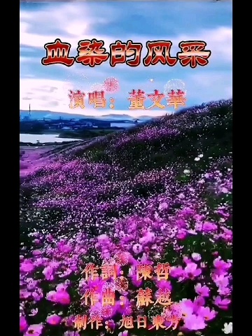 血染的风采
