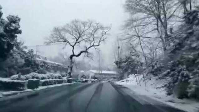 下雪啦!昨晚随州迎来降雪!曾都、随县、广水...多地雪景图来了!