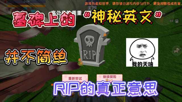 迷你世界:死亡时出现的“墓碑”上的英文它代表的意思是“天使”