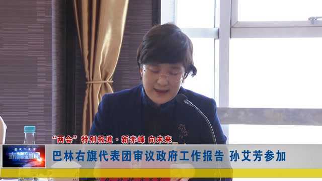 ►巴林右旗代表团审议政府工作报告 孙艾芳参加