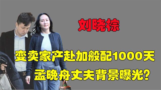 娶了二婚的孟晚舟,变卖家产赴加拎包3年,刘晓棕到底什么来头?