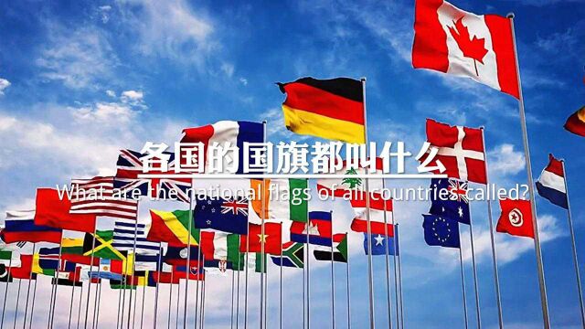 各国的国旗叫什么?你们知道吗?