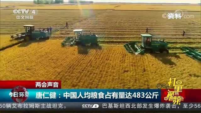 唐仁健:中国人均粮食占有量达483公斤