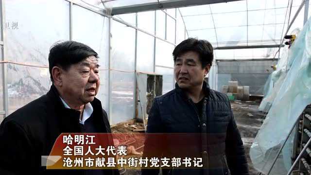 政府工作报告里的“河北行动”|乡村振兴