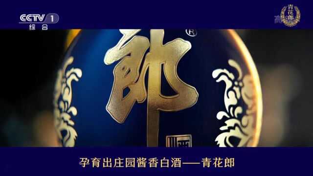 中央台白酒广告青花郎酒