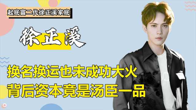 万年男二徐正溪,被人当软柿子捏,殊不知汤臣一品董事长是他姑姑