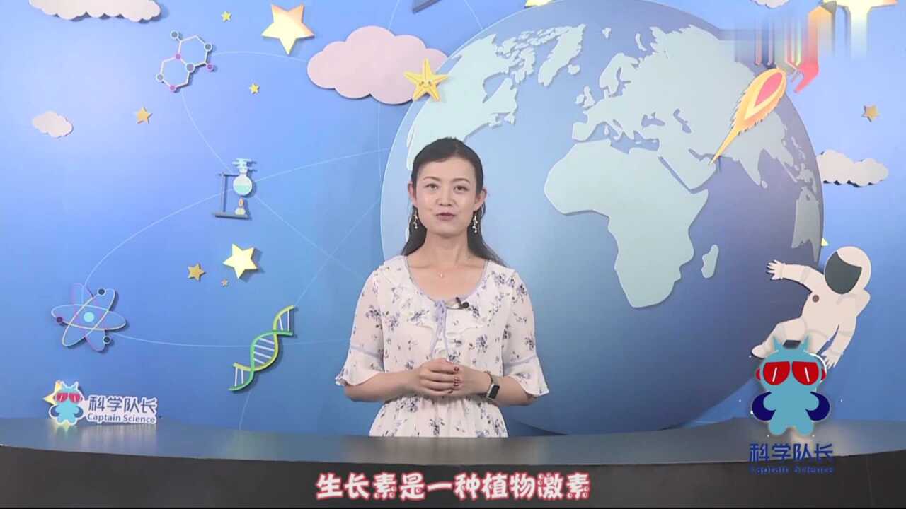 第09集 植物的向光性_高清1080P在线观看平台_腾讯视频