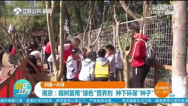 共植一片绿 南京:栽树苗用“绿色”营养剂 种下环保“种子”