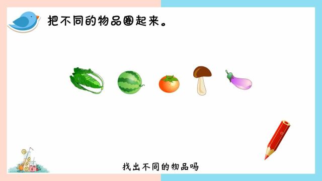 13.小学数学微课《第3节 分类与整理拓展应用》东莞市樟木头镇中心小学包玉柳、廖建东、陈夏玲