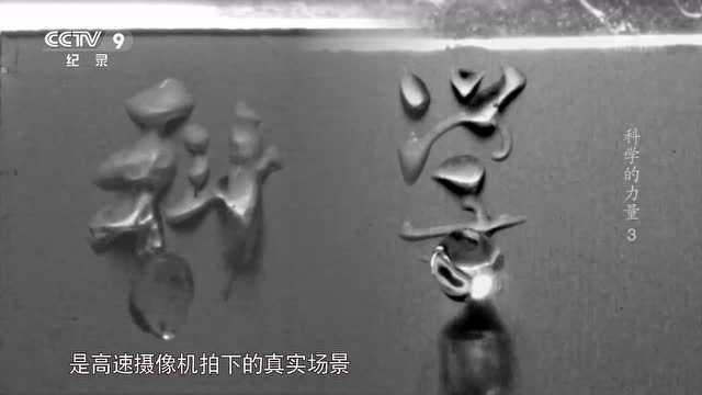 中国的印刷术,会再一次成为我们的骄傲 | 宋延林