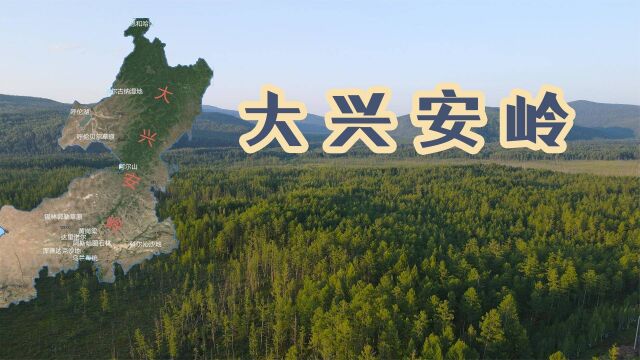 走进大兴安岭,这是众多地理要素的分界,大火后30年早已焕发新生