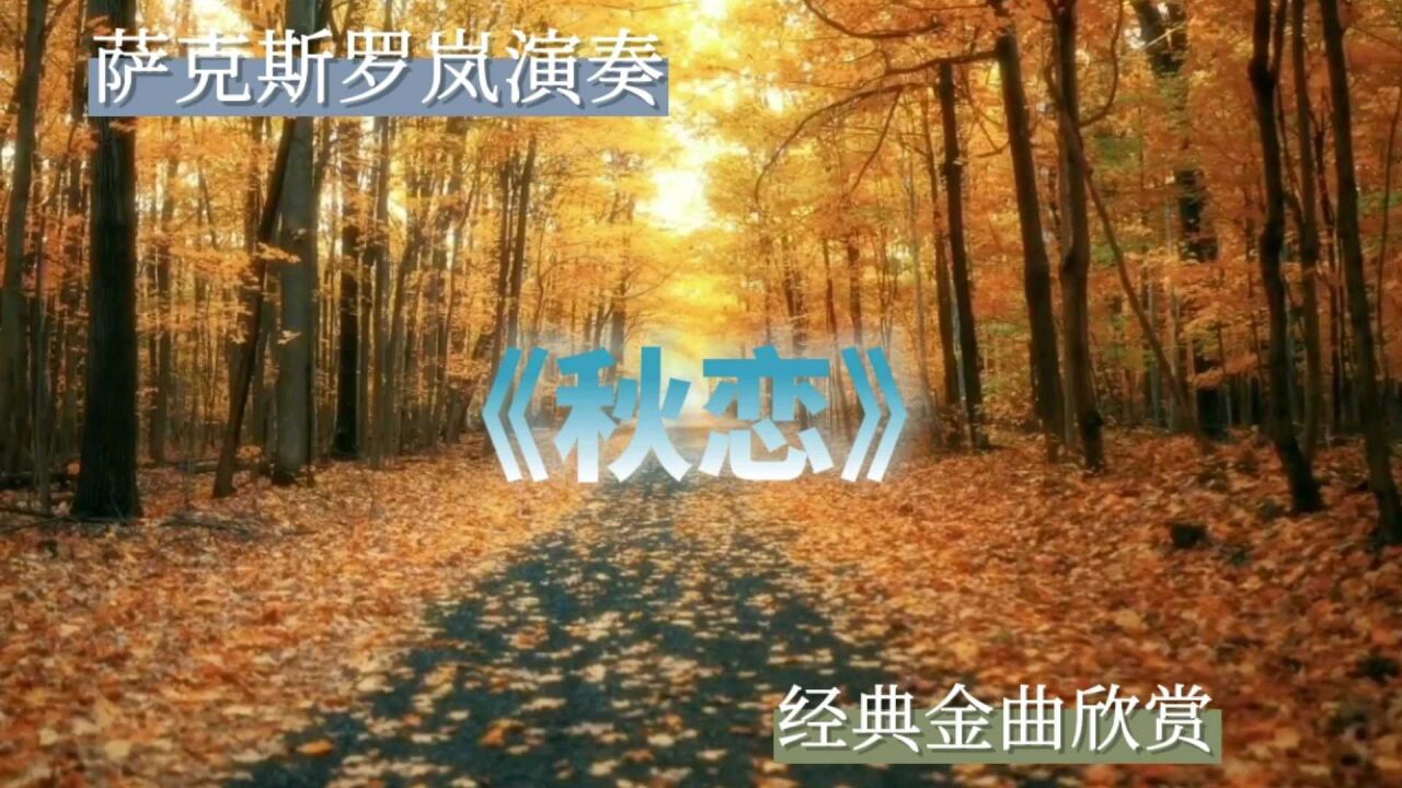 萨克斯演奏经典纯音乐《秋恋》只因旋律太美,直接陶醉其中真好听